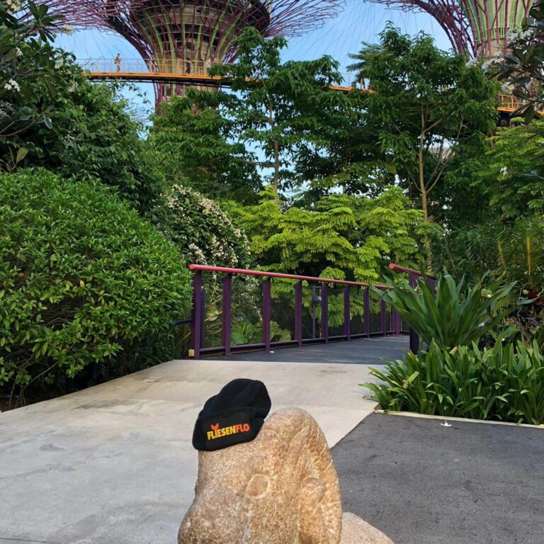 Singapur -1